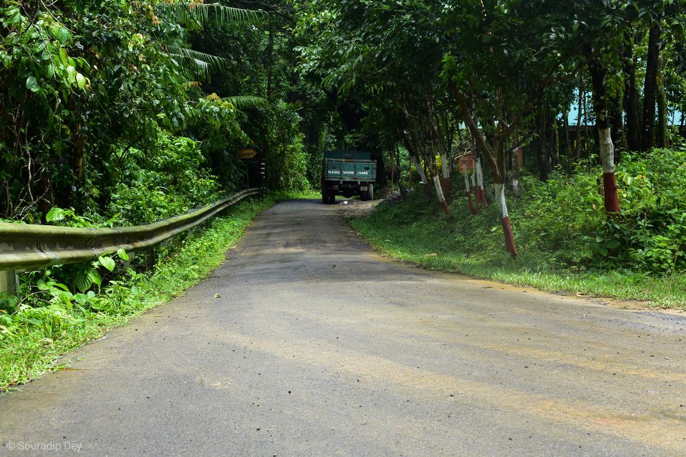 Photograph by Souradip Dey