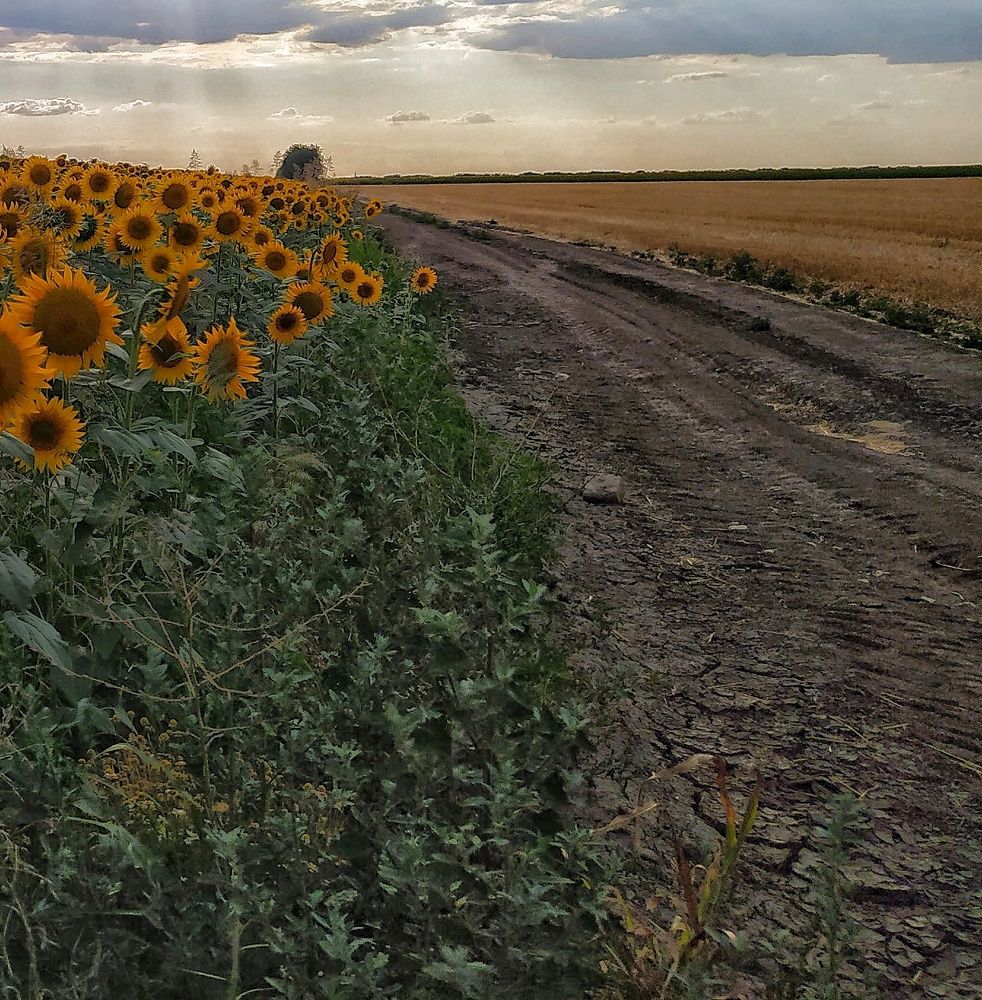 Photograph by Dragoslav Macanović