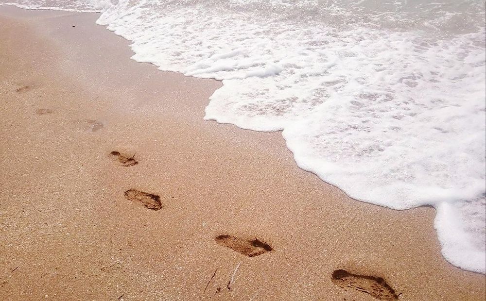 На берегу моря