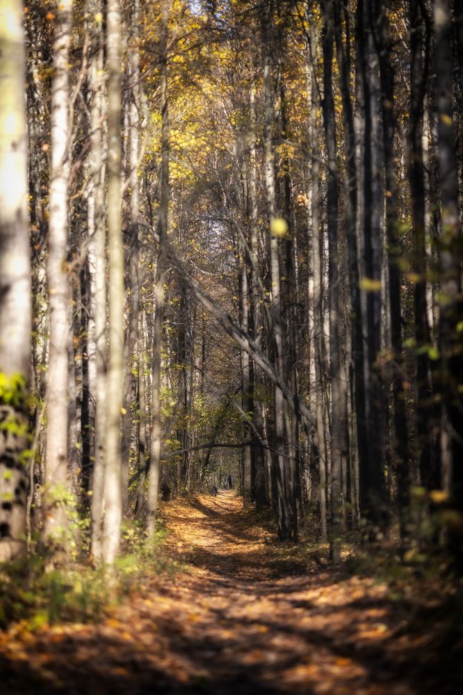 Photograph by Кузнецов Дмитрий