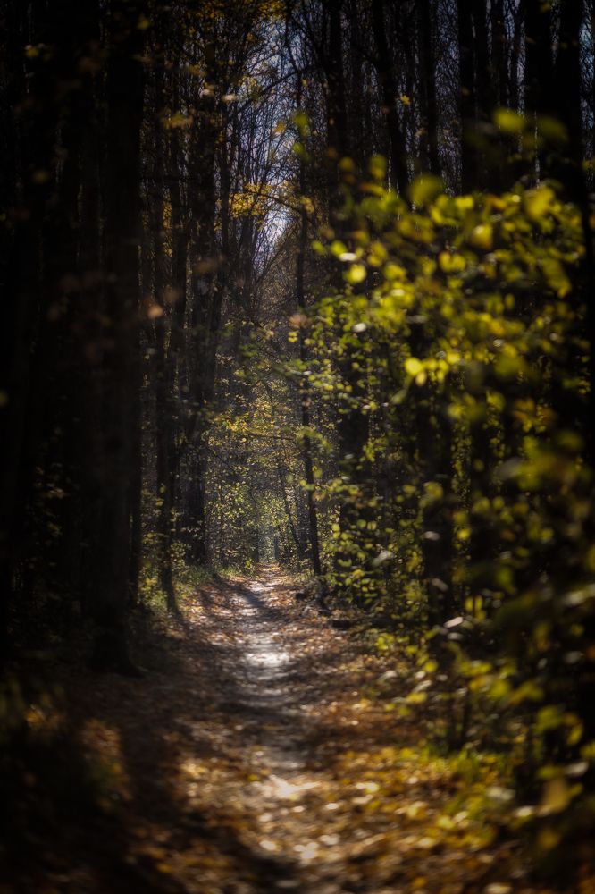 Photograph by Кузнецов Дмитрий