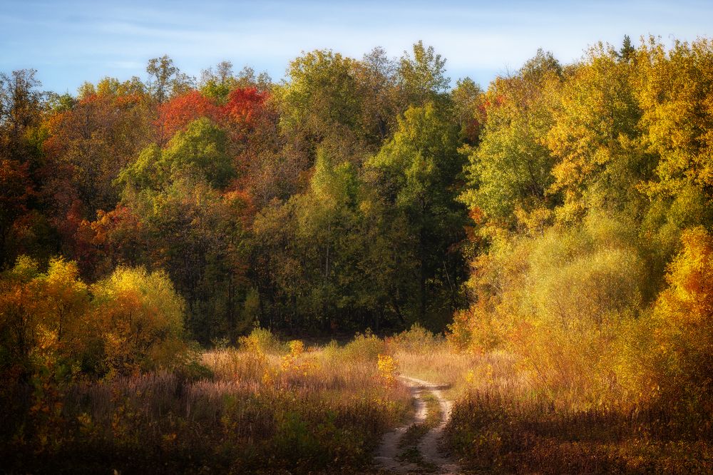 Photograph by Кузнецов Дмитрий