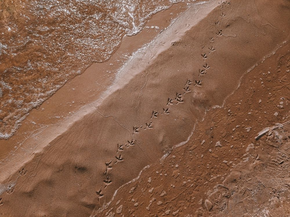 Photograph by Таисия Ищенко