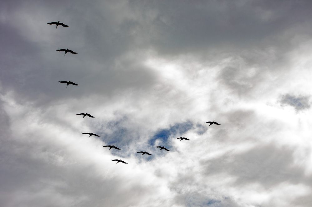 Фотография автора Tetiana Anpilova