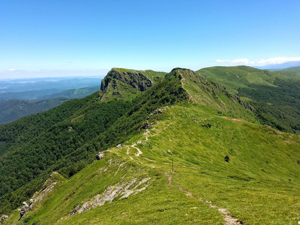 A trail on a green edge