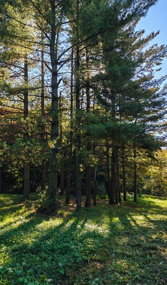 Photograph by Grădinaru Catalin