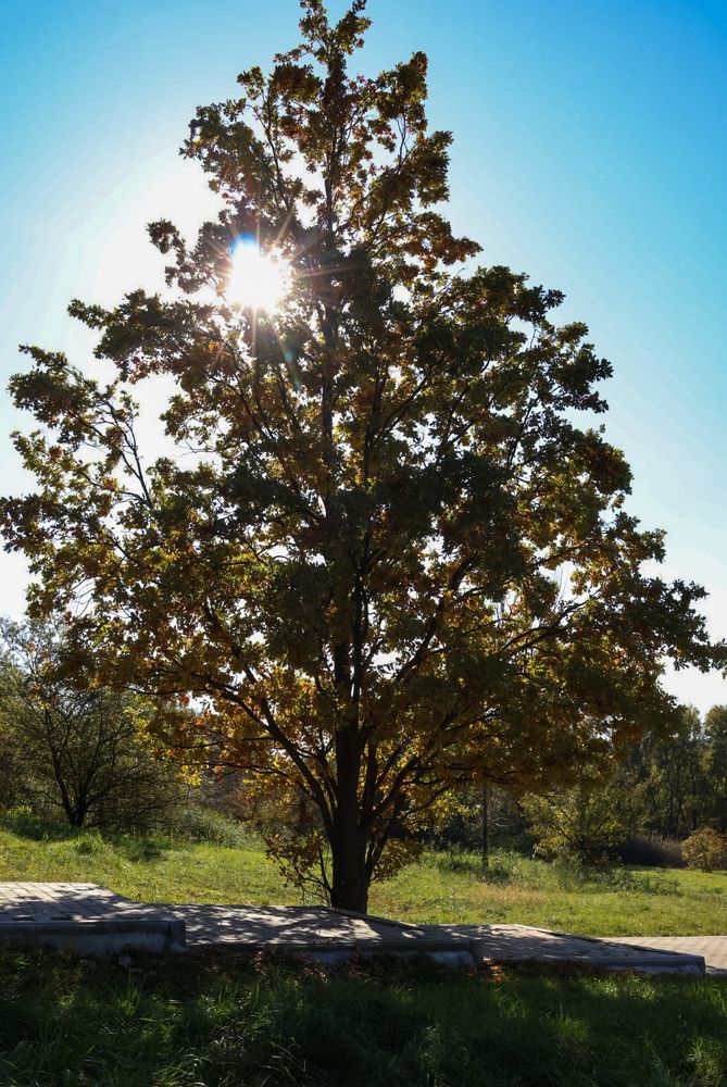 Photograph by Grădinaru Catalin