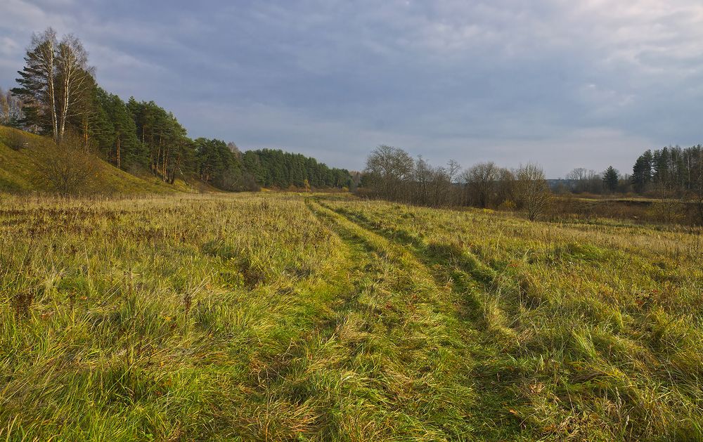 Photograph by Анатолий Максимов