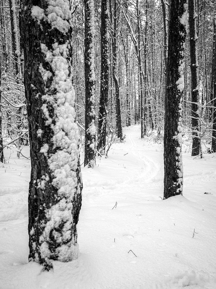 Photograph by Маргарита Ивкова