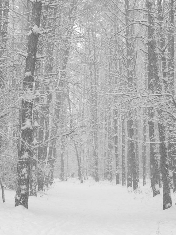 Photograph by Маргарита Ивкова