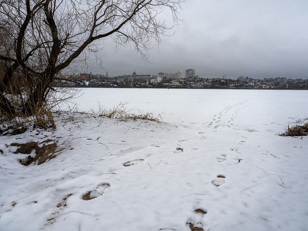 Photograph by Маргарита Ивкова