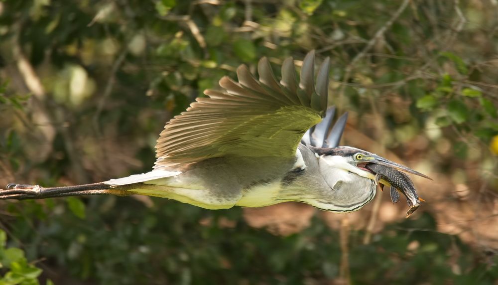 Photograph by Игорь Щербаков