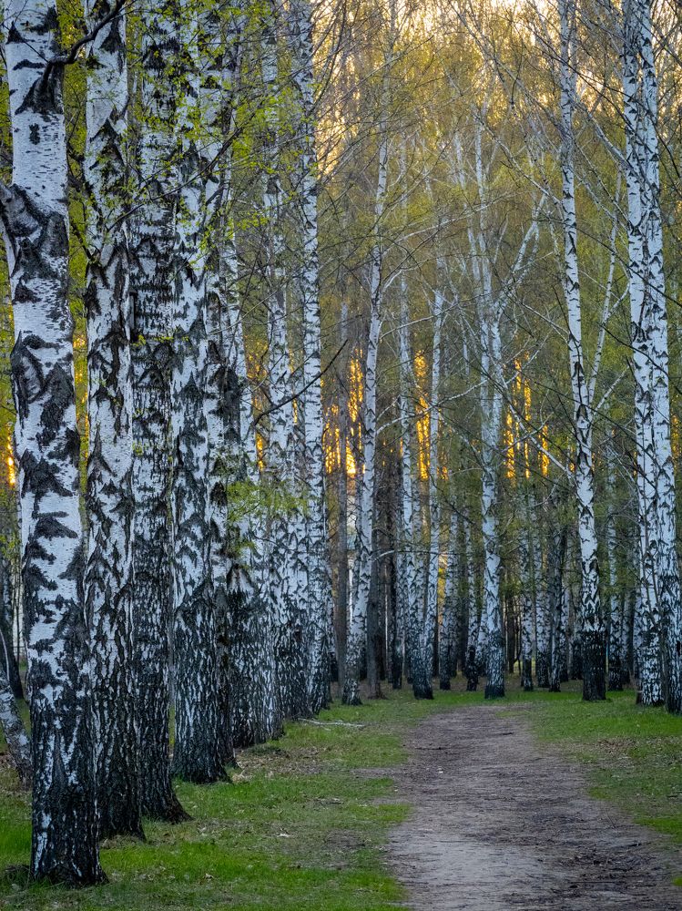 Photograph by Маргарита Ивкова