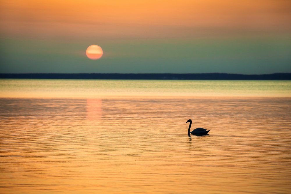 Photograph by Дмитрий