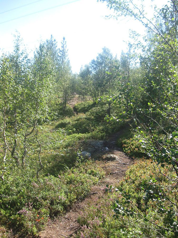 Photograph by Светлана Зотова