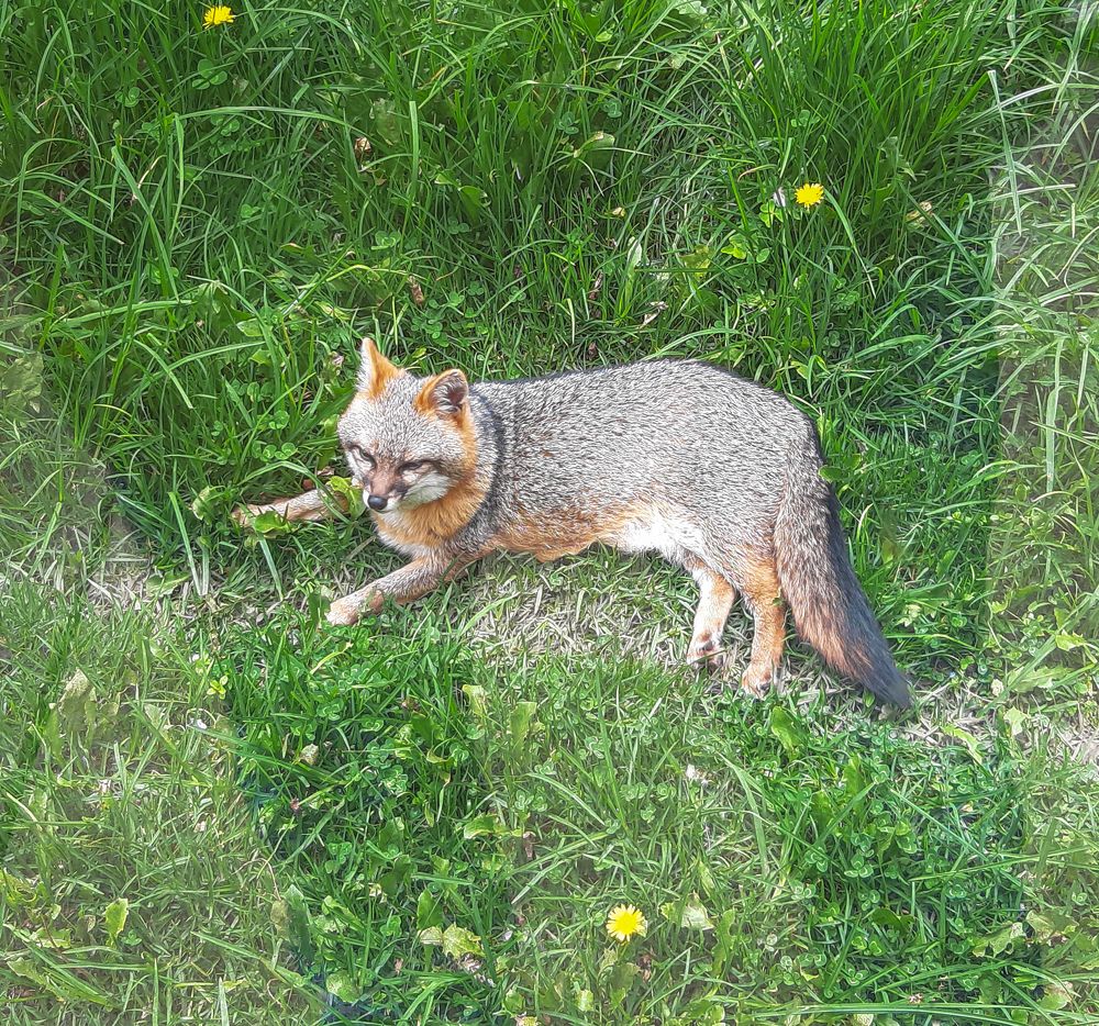 Photograph by Manuel José Castillo Ochoa