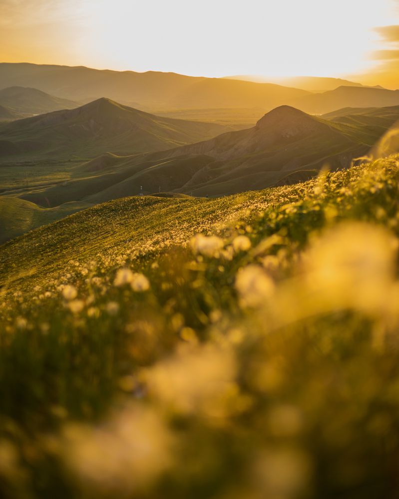 Фотография автора Светлана Евтушенко