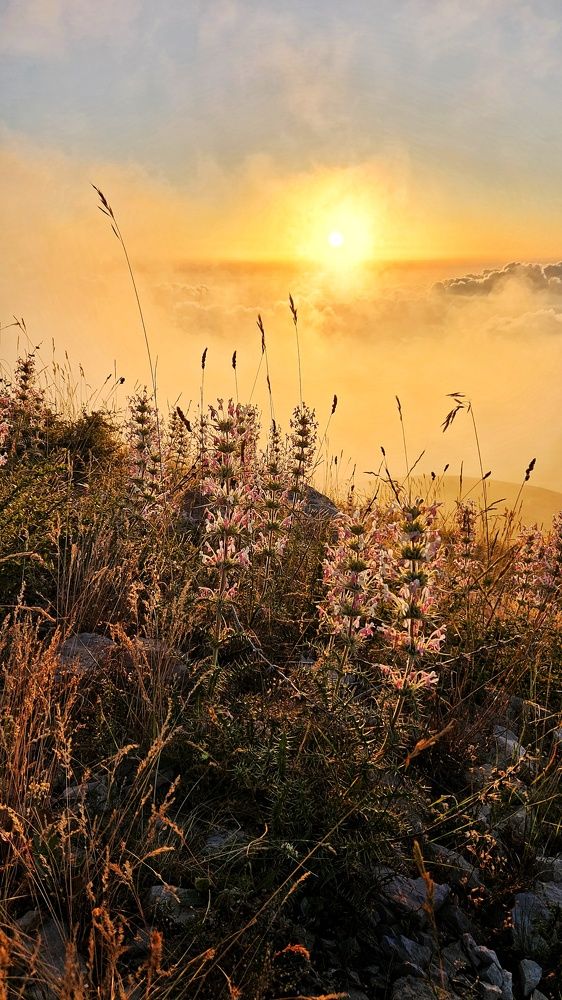Photograph by Наталья
