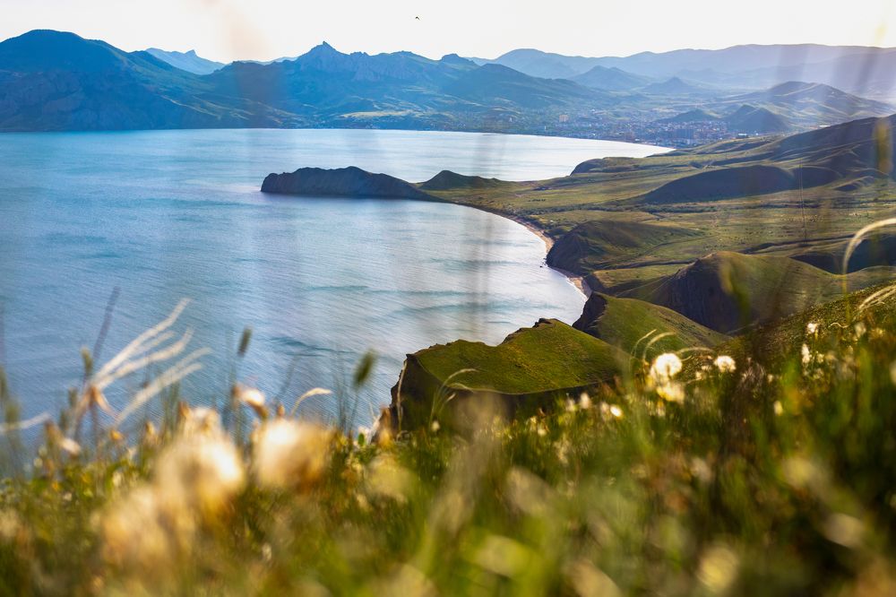 Фотография автора Светлана Евтушенко