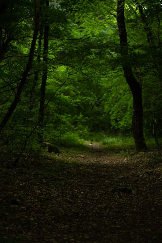 Photograph by Ольга Самылкина