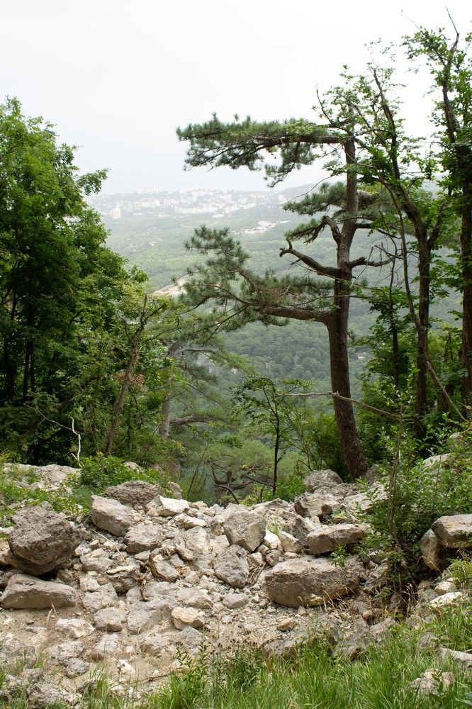 Photograph by Ольга Самылкина