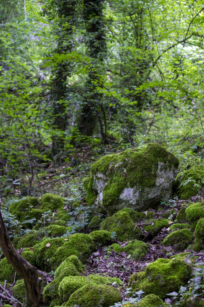 Photograph by Ольга Самылкина