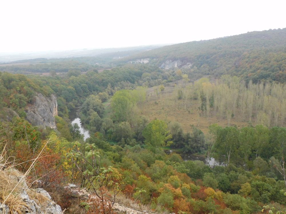 Photograph by Алмерия Монева