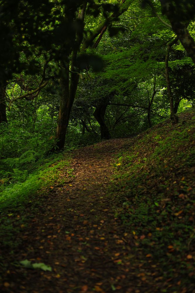 Photograph by Наталья Малышева