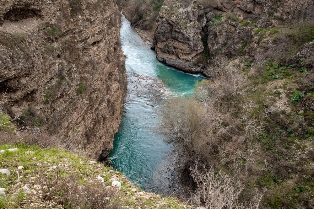 Фотография автора Van Gross