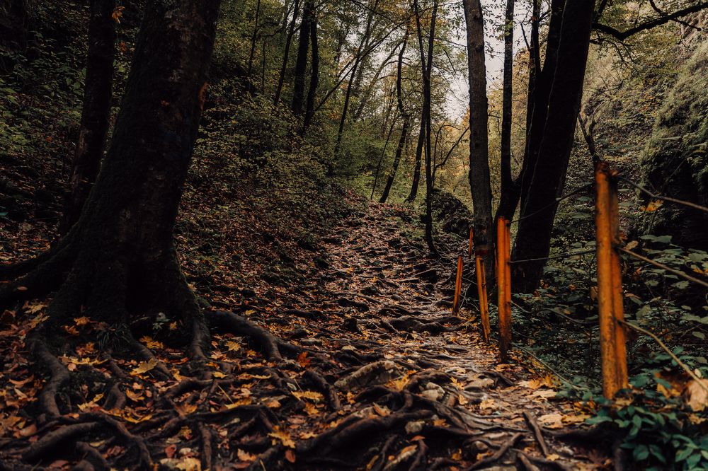 Photograph by Роман Яковенко