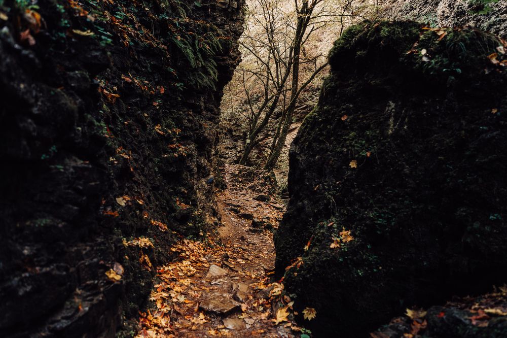 Photograph by Роман Яковенко