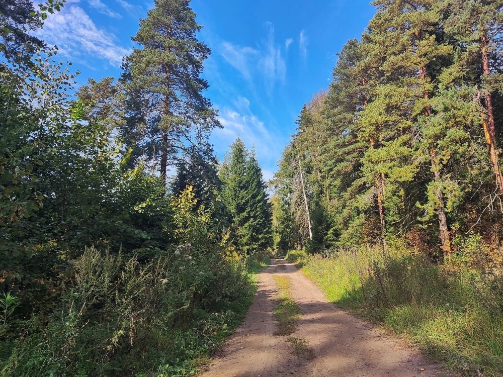 Photograph by Дмитрий Фетисов