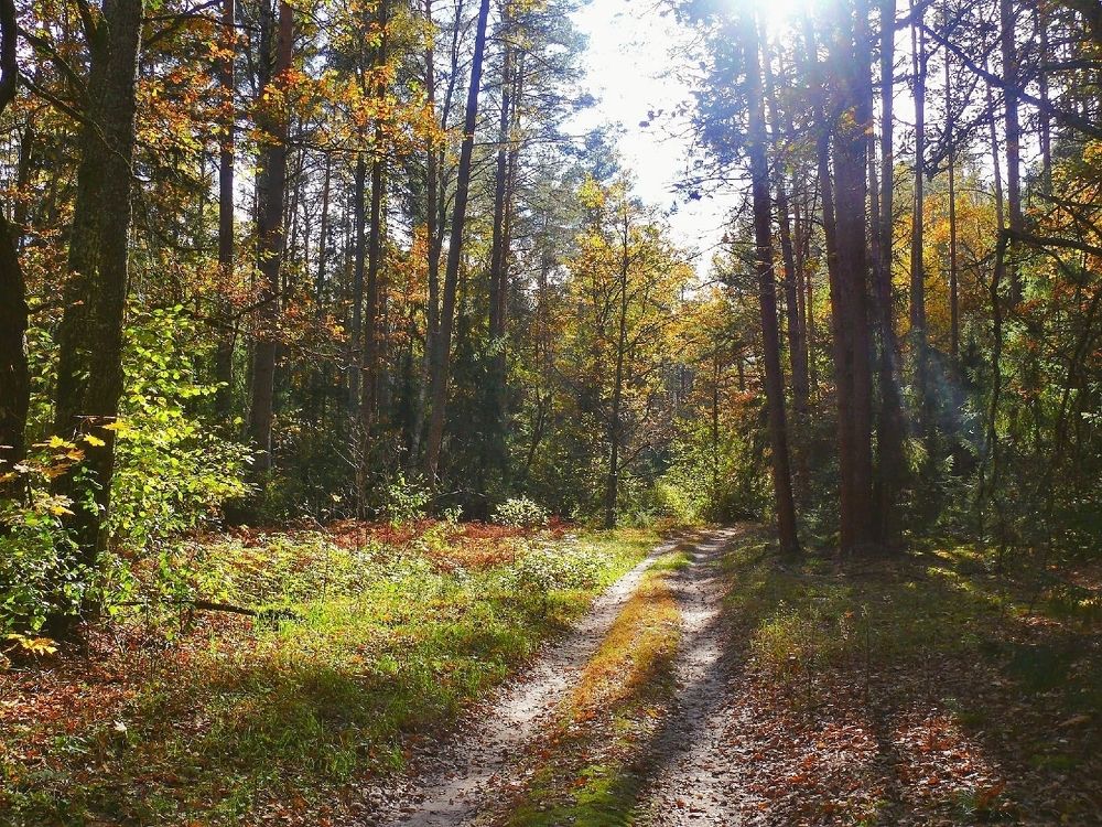 Photograph by Дмитрий Фетисов