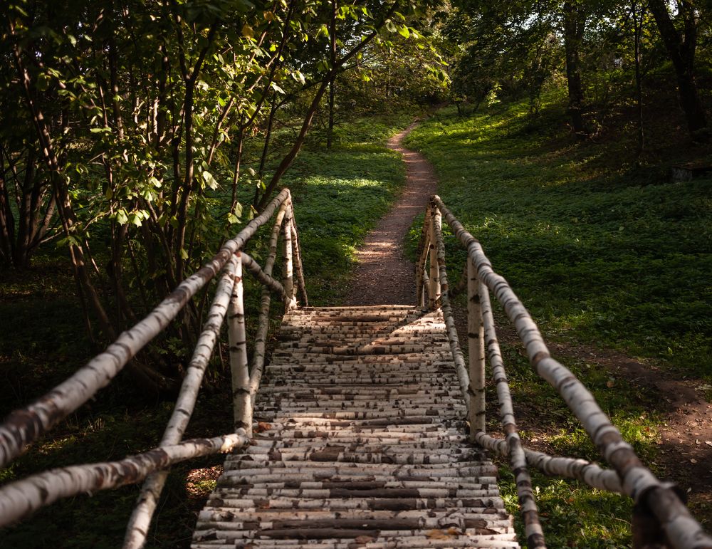 Photograph by ирина нестерова