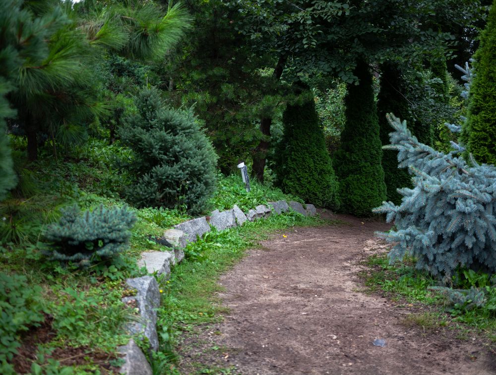 Photograph by ирина нестерова