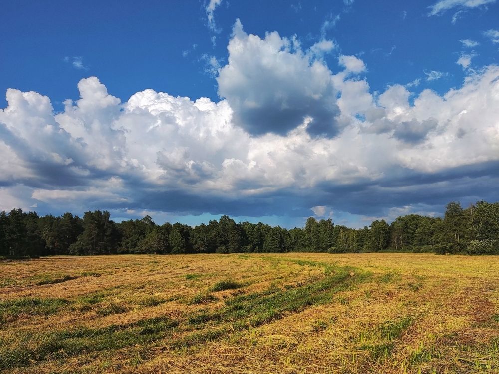 Photograph by Дмитрий Фетисов