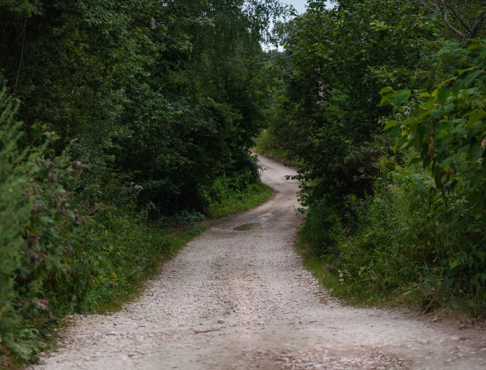 Photograph by ирина нестерова