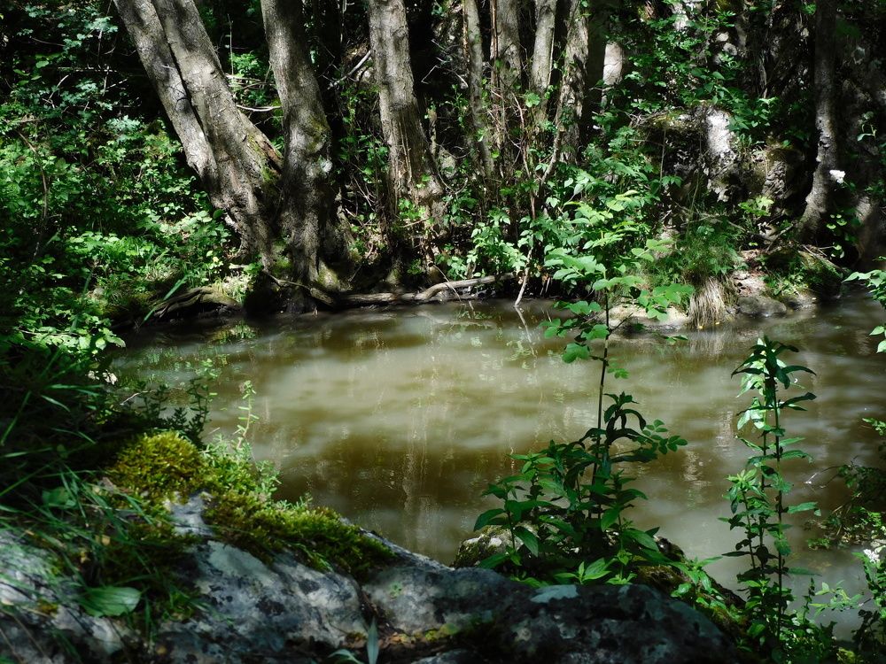 Photograph by Алмерия Монева