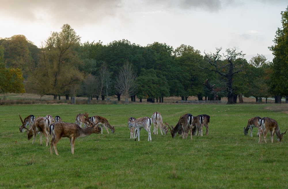 Photograph by Veslava