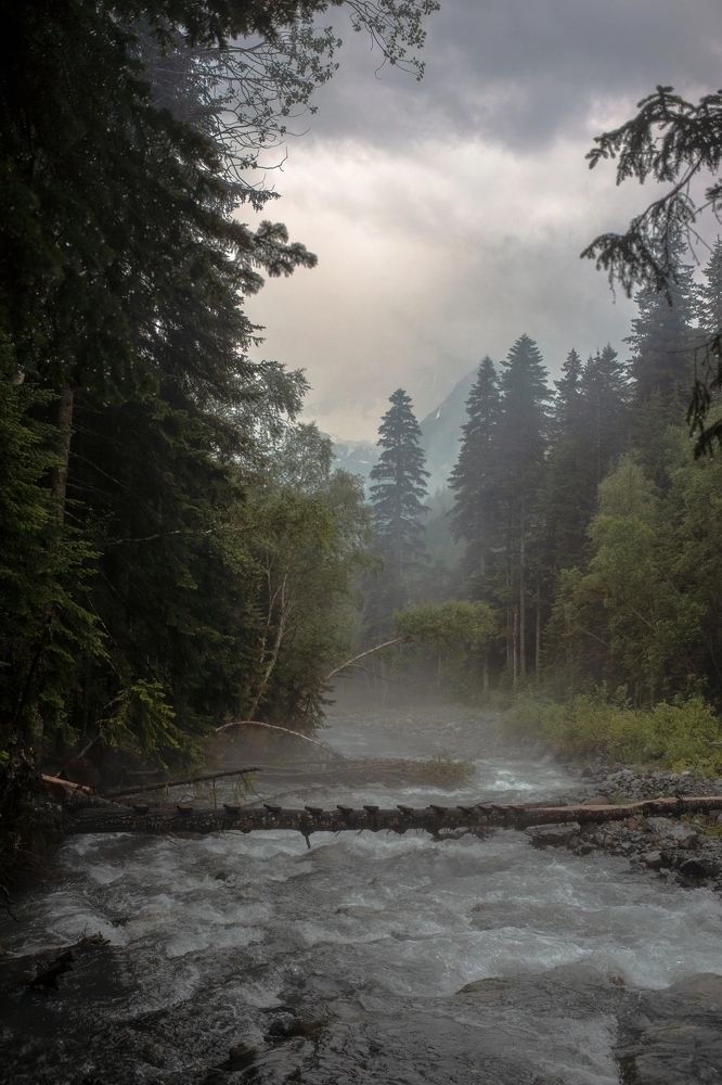 Photograph by Михаил Славный