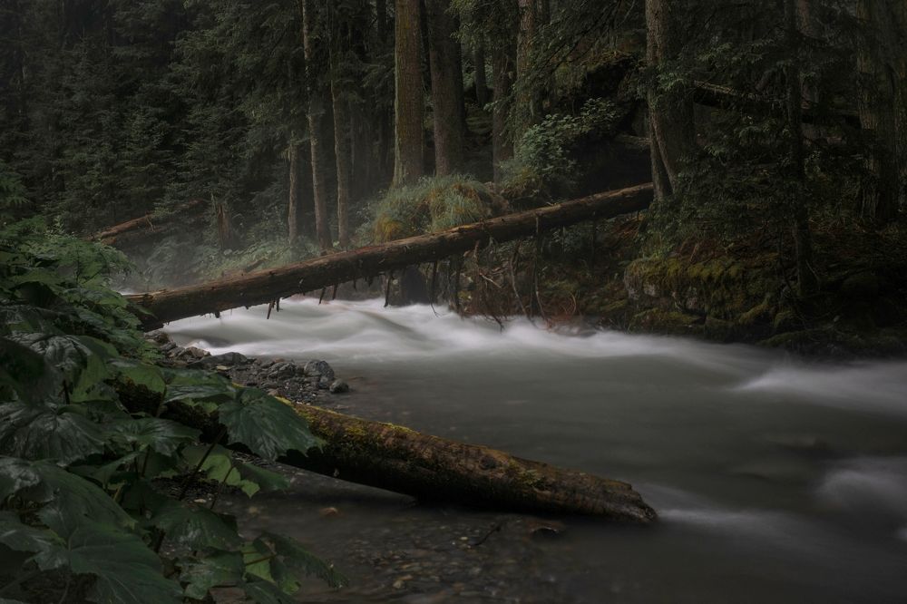 Photograph by Михаил Славный