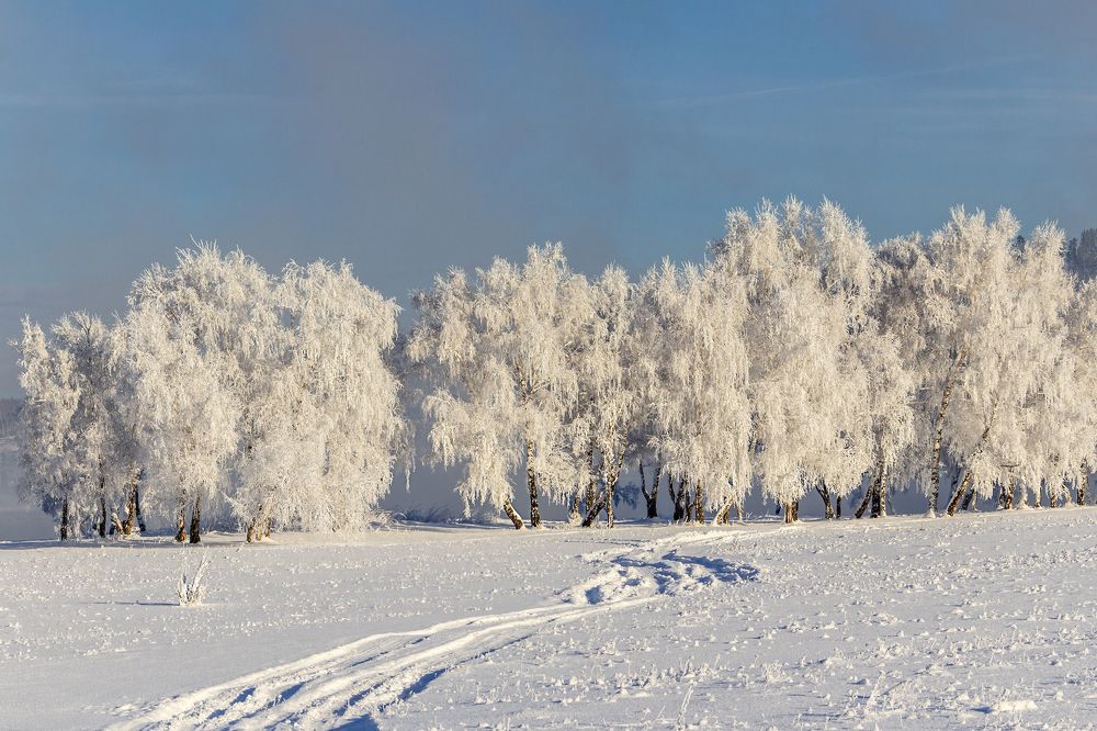 Photograph by Koledova Irina