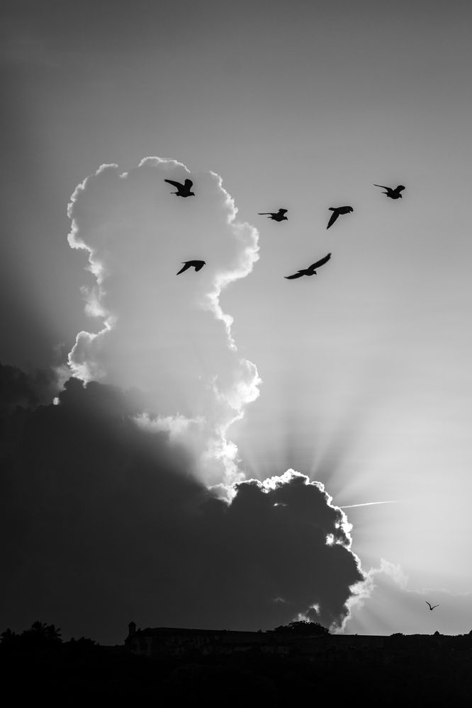 Photograph by Evelyn Carnot Montes