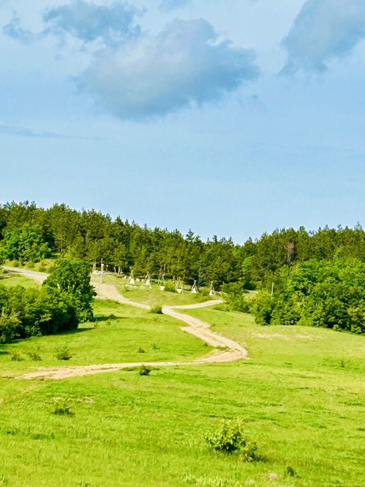 Photograph by Светлана Соколова