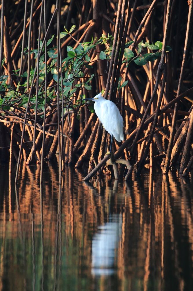 Photograph by Gr Marie