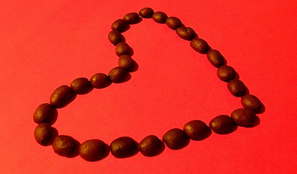 Photograph by Gr Marie