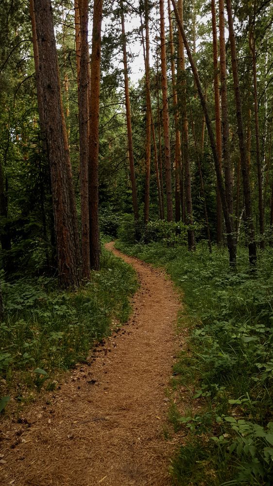 Photograph by Дарья Целуйко