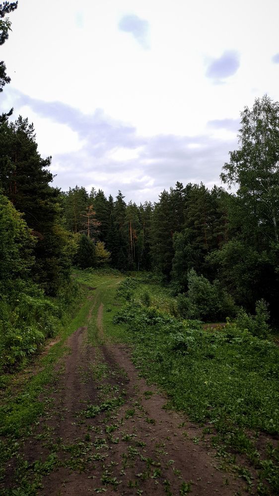 Photograph by Дарья Целуйко