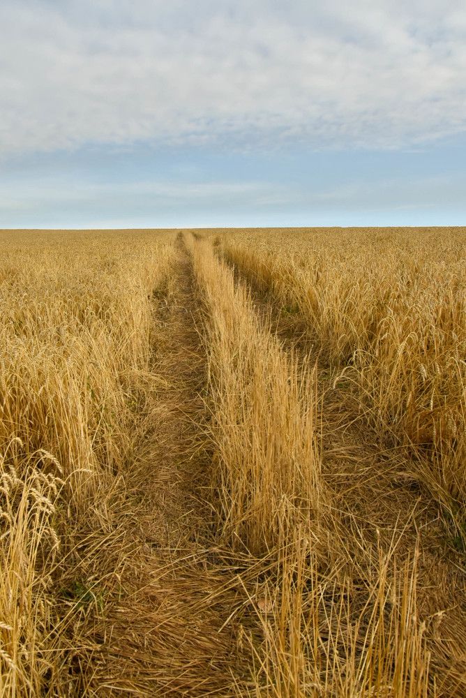 Photograph by Наталья Сорокина