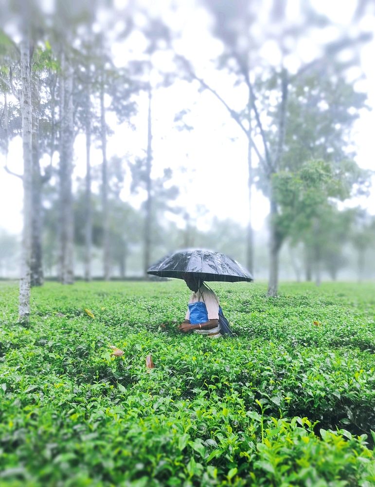 Photograph by Riya Halder